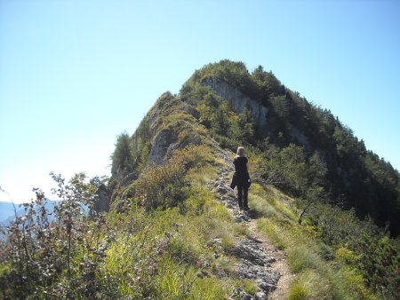 /treks/europe/it/tn/val-d-adige/rovereto/monte-biaena/sentiero-3.jpg