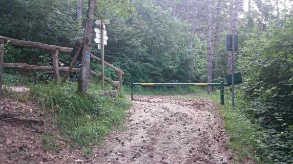 Termine prima salita
strada della Flora