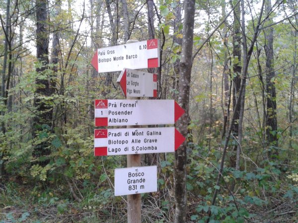 Località Bosco Grande
e bivio