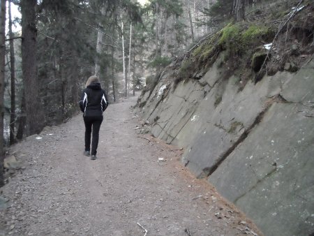 /treks/europe/it/tn/val-di-cembra/sponda-sinistra/lago-di-santa-colomba/sentiero-1.jpg