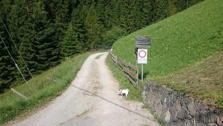 bivio inizio della carrareccia a traffico limitato