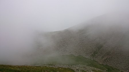 DSC_0105 