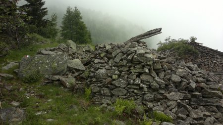 malga Borca di sopra i ruderi