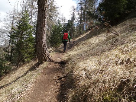 Sentiero
poco prima della cima