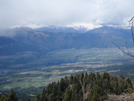 Panorama dalla cima
verso la Val di Non