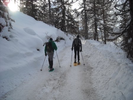 /treks/europe/it/tn/val-di-non/sponda-sinistra/monte-penegal/stradina.jpg