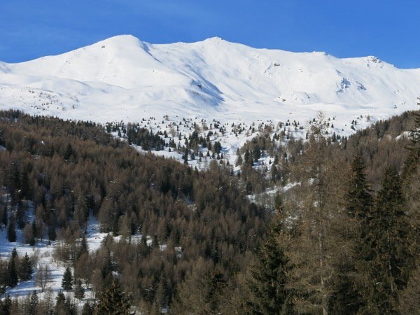 Parte alta del percorso dal parcheggio