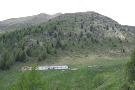 Malga Cortinga di Sopra
