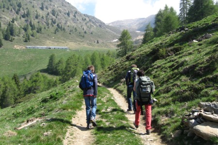 Verso Malga Cortinga di Sopra
