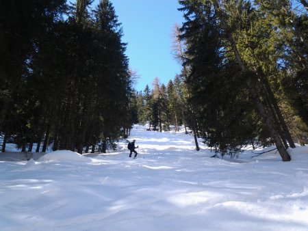 /treks/europe/it/tn/val-di-sole/val-di-rabbi/monte-sole/tagliare-nel-bosco.jpg