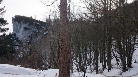 sentiero per il rifugio