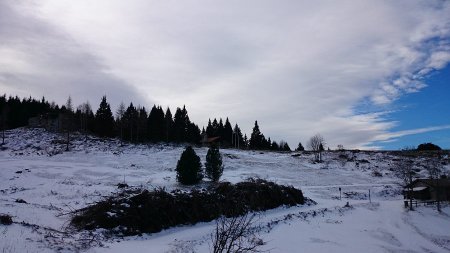 la radura del rifugio