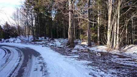 strada per Albaredo punto di rientro nel bosco