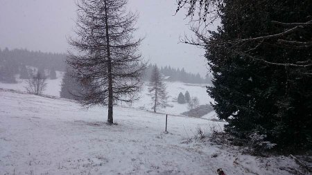 la radura prima del rifugio