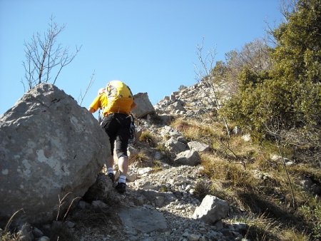 /treks/europe/it/tn/valle-del-sarca/cima-alle-coste/la-bellezza-della-venere/dscn3791.jpg