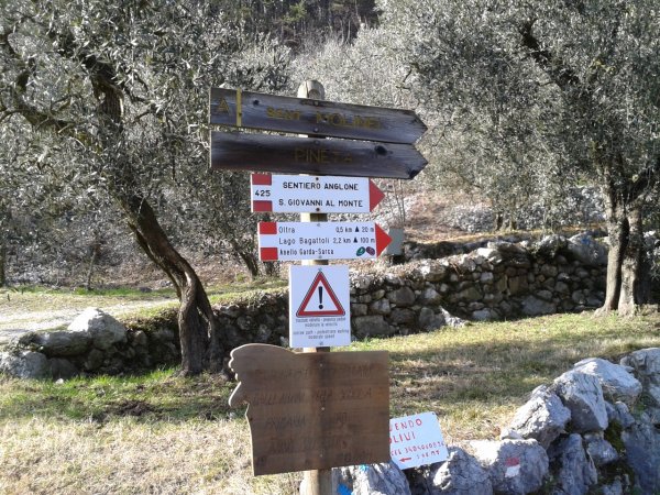 Bivio
