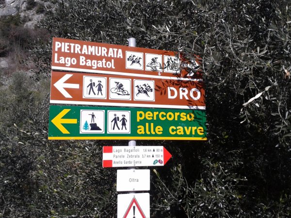 Bivio
