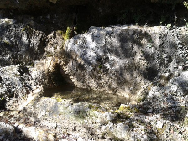 Sorgente
