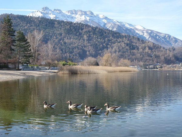 Lago di Caldonazzocon la Vigolana