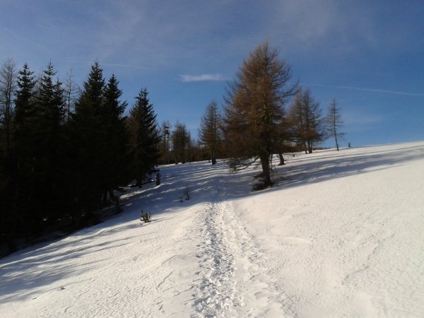 Verso la Cima