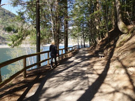 Lungo il sentiero
attorno al lago