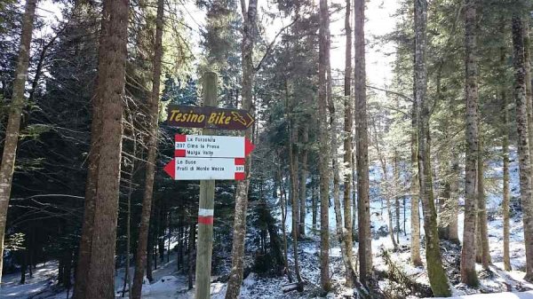 Bivio presso la calcara
con la forestale delle Buse