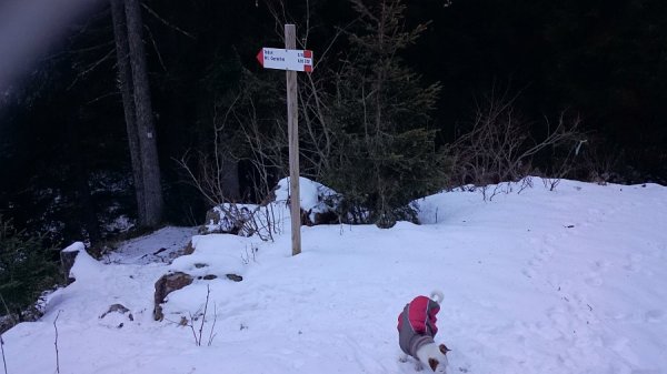 Bivio
per Tedon e rifugio Carlettini