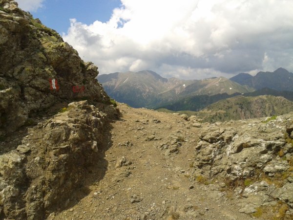 Forcella
