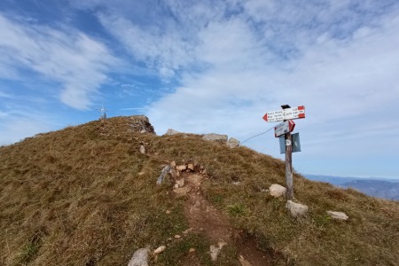 Bivio
presso la cima