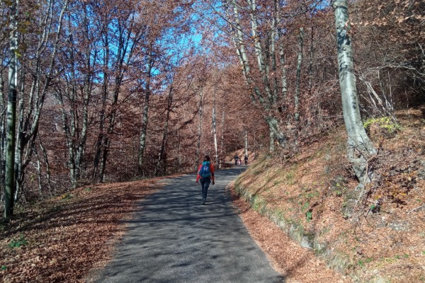 Verso il Rifugio Bertagnoli
