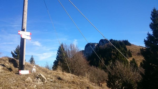 Passo della Vena
