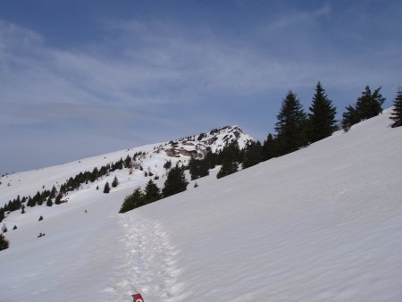 salendo alla cima