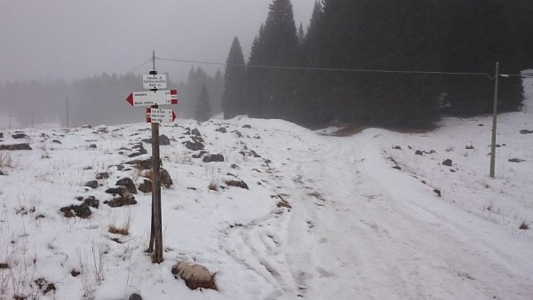 Inizio dell'escursione
nei pressi del parcheggio