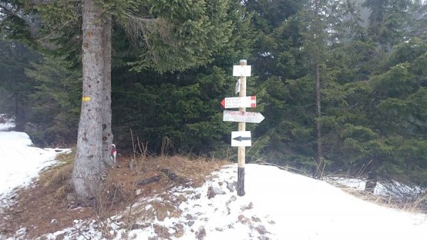 Località croce del civello
bivio per malga Erio