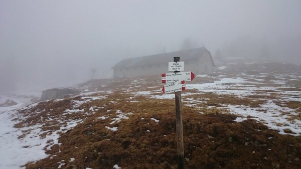 Malga
Quarti di Verena