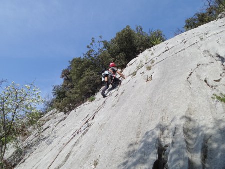 Arrampicando 