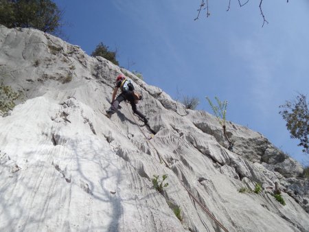 Arrampicando 